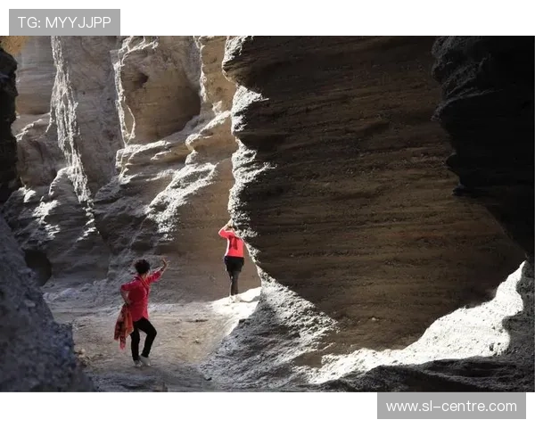 庞峥麟双能卫称王入一阵